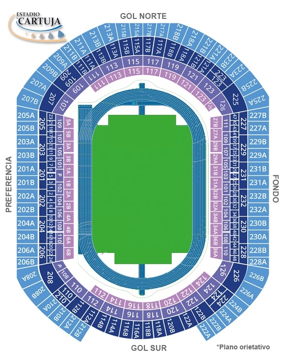 Estadio de La Cartuja, Sevilla  Espana