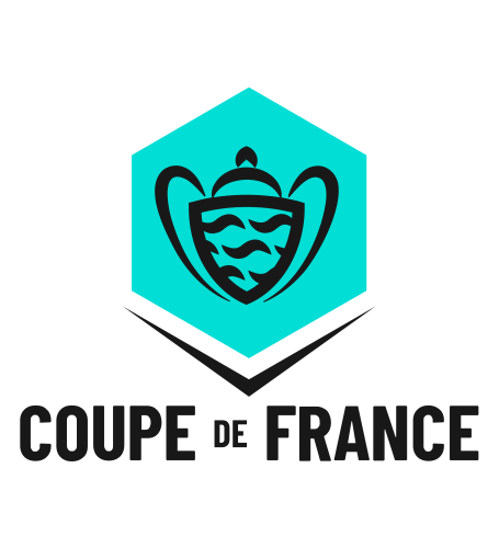 Кубок Франции