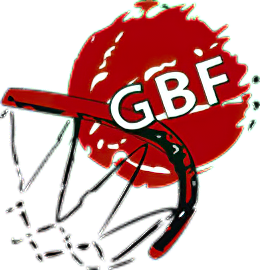 Georgië basketbal