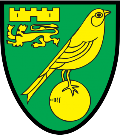 Norwich city